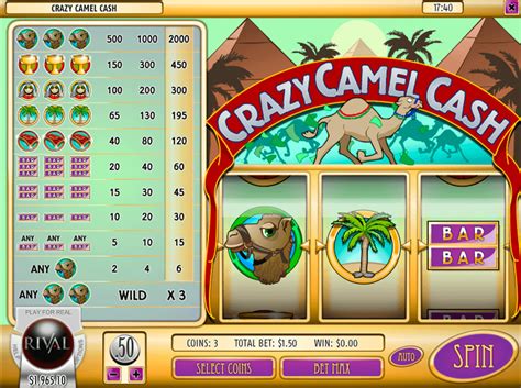Crazy Camel Cash Slot - Play Online